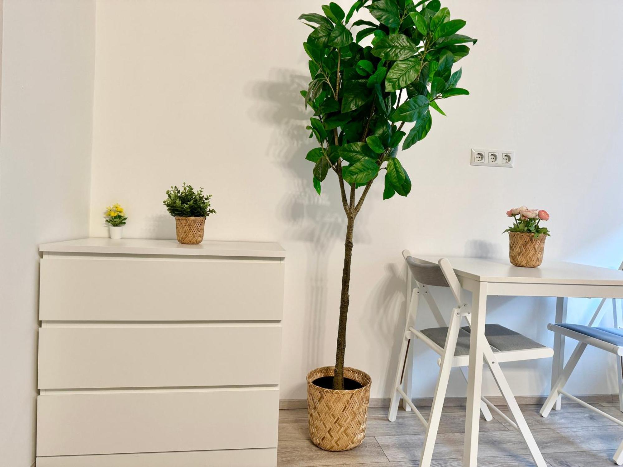 Stylish Schonbrunn Apartments - Free Underground Parking Vienne Extérieur photo