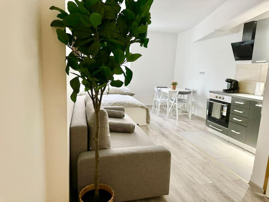 Stylish Schonbrunn Apartments - Free Underground Parking Vienne Extérieur photo