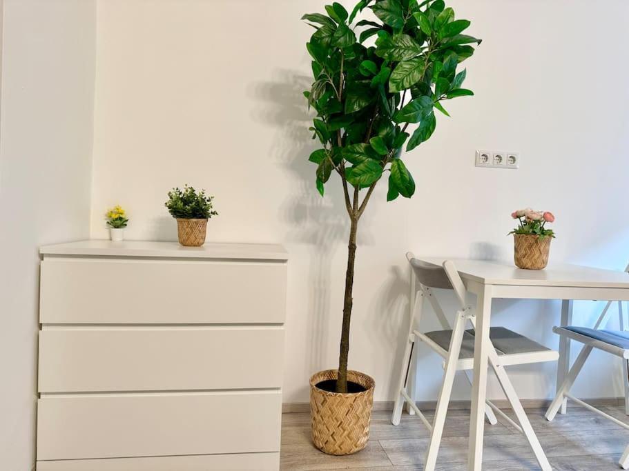 Stylish Schonbrunn Apartments - Free Underground Parking Vienne Extérieur photo